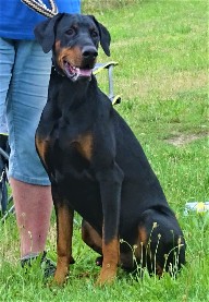 Christopher z PD - 2 roky