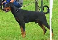 Christopher z PD - 2 roky